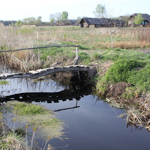 Photo #13863204