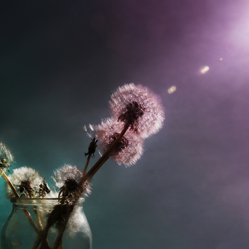 Photo #13863213