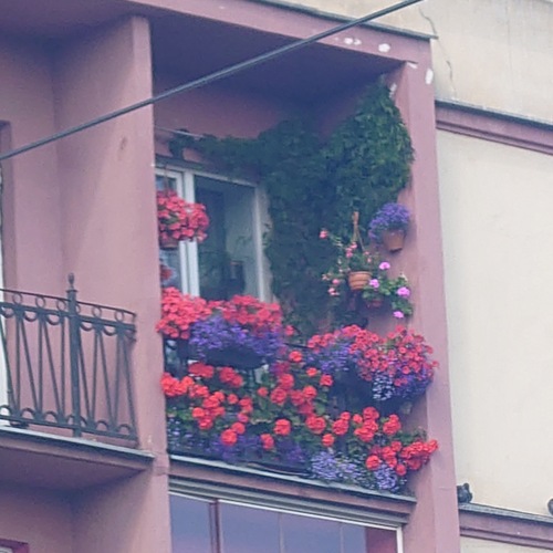 Photo #13863226