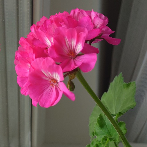 Photo #13863229