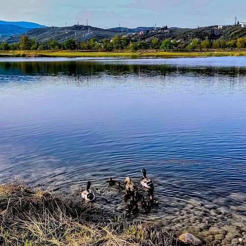 Photo #13863231