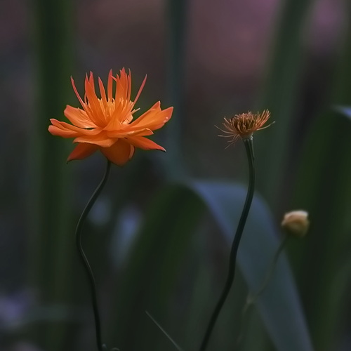 Photo #13863305