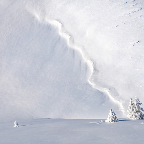 Photo #13863329