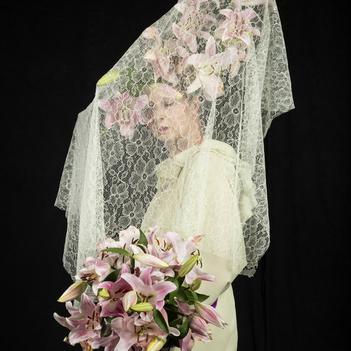 Photo #13863348