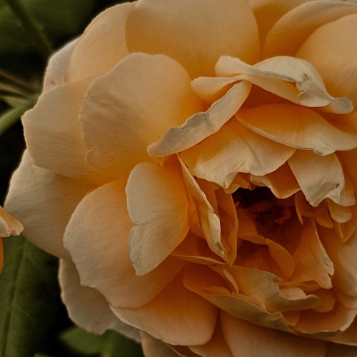 Photo #13863437