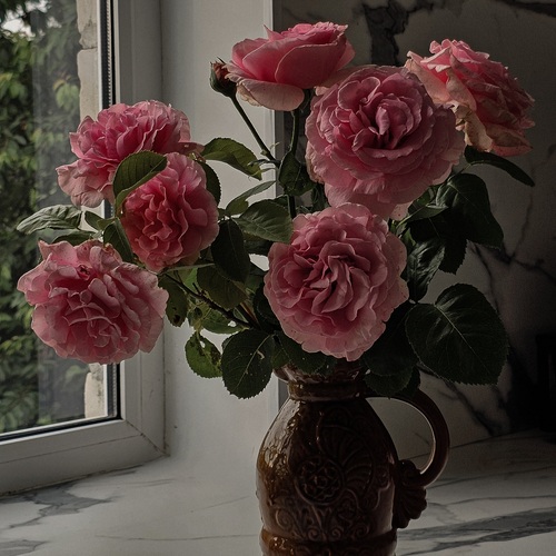 Photo #13863439