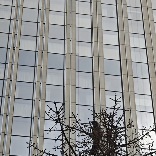 Photo #13863483