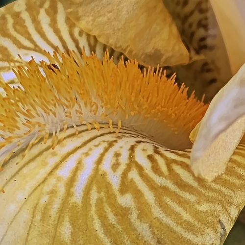 Photo #13863603
