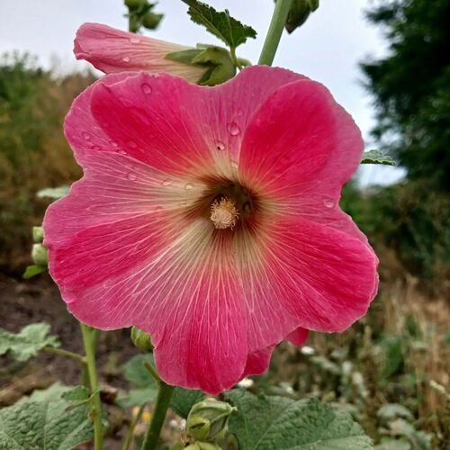 Photo #13863703