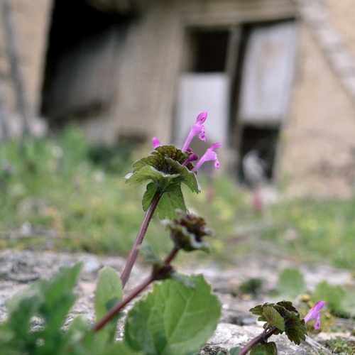 Photo #13863730