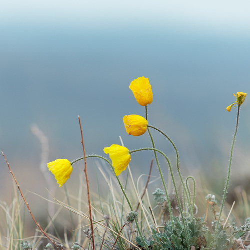 Photo #13863743