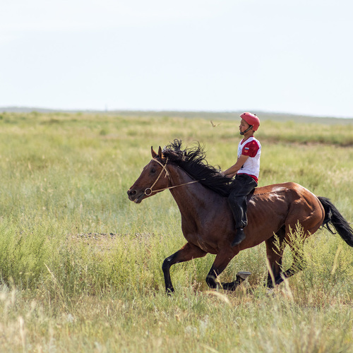 Photo #13863849