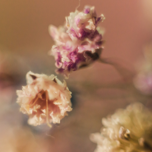 Photo #13863903