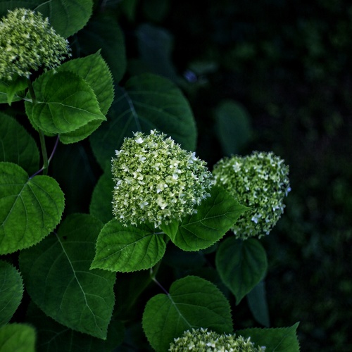 Photo #13863919