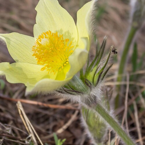 Photo #13864063