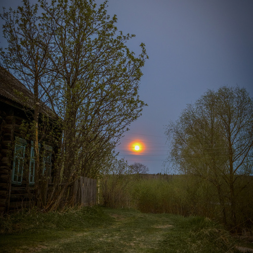Photo #13864189
