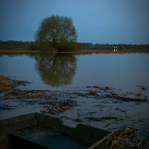 Photo #13864190