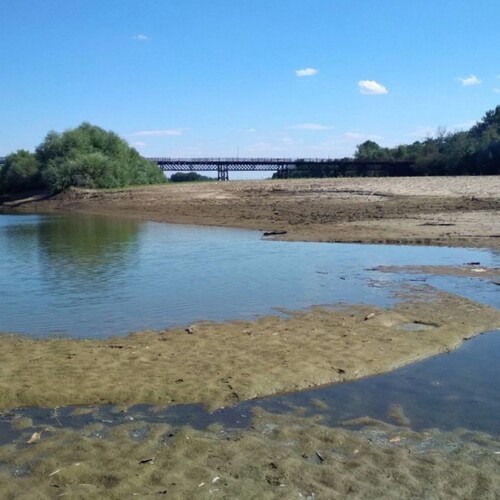 Photo #13864245