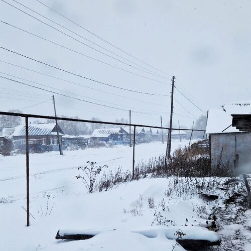 Photo #13864293