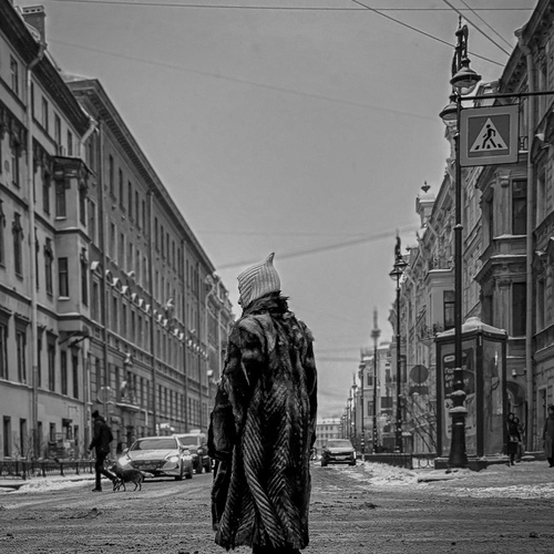 Фотография #13864368