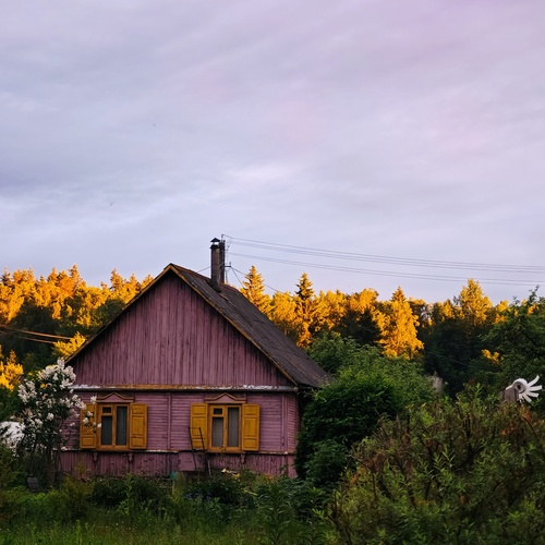 Photo #13864395