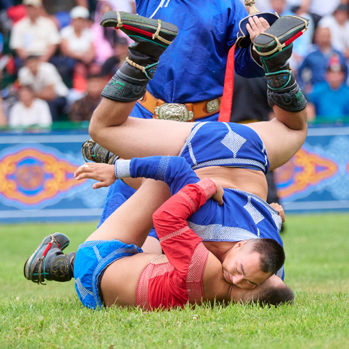 Photo #13864415