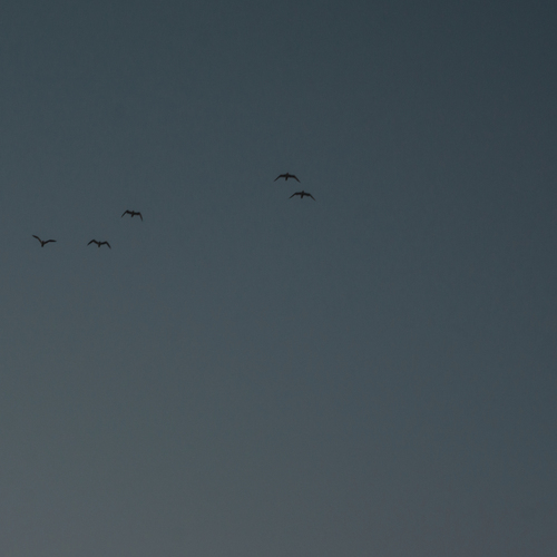 Photo #13864432