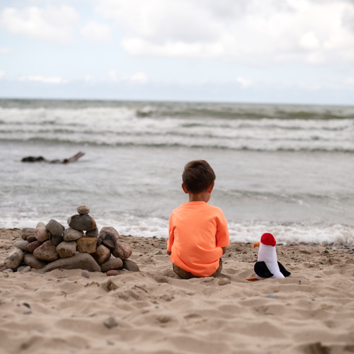 Photo #13864460