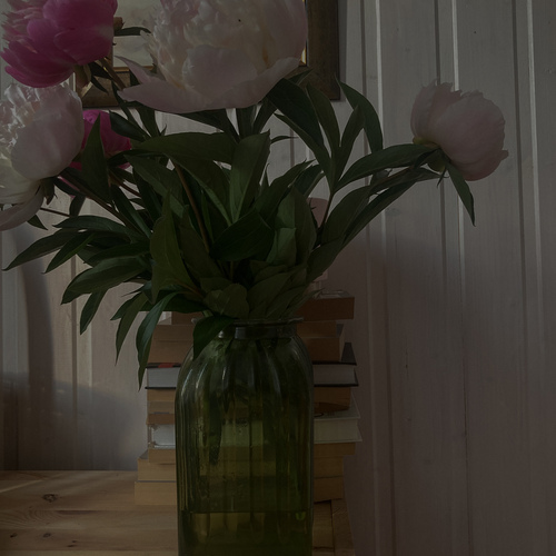 Photo #13864479