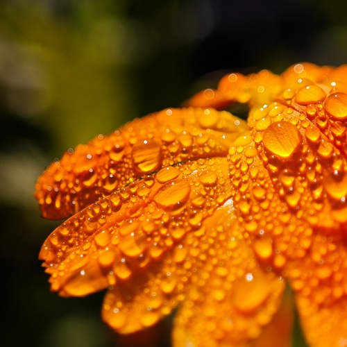 Photo #13864500