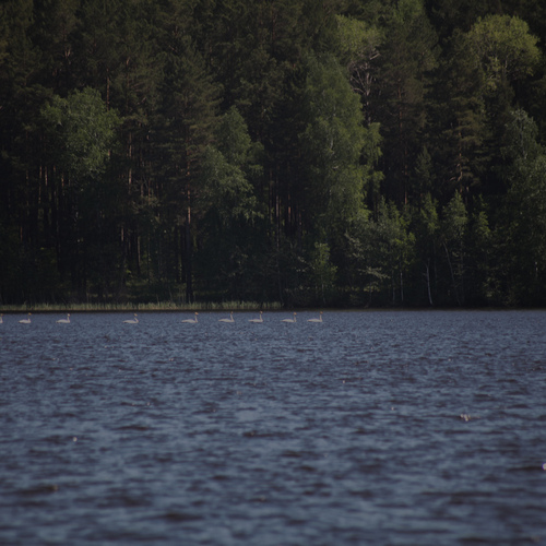Photo #13864532
