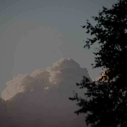 Photo #13864539