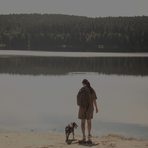 Photo #13864545
