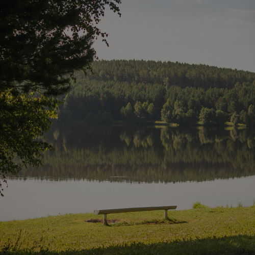 Photo #13864549