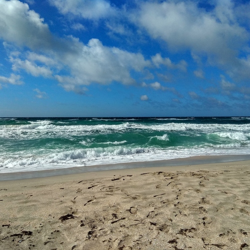 Photo #13864553