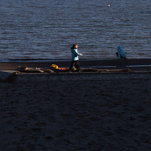Photo #13864584