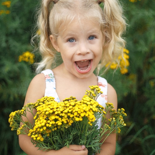 Photo #13864651