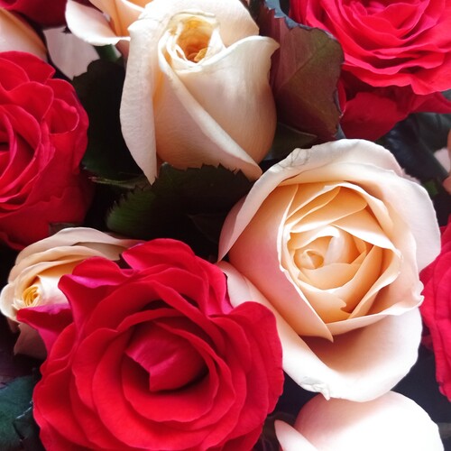 Photo #13864747