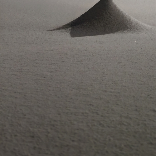 Photo #13864749