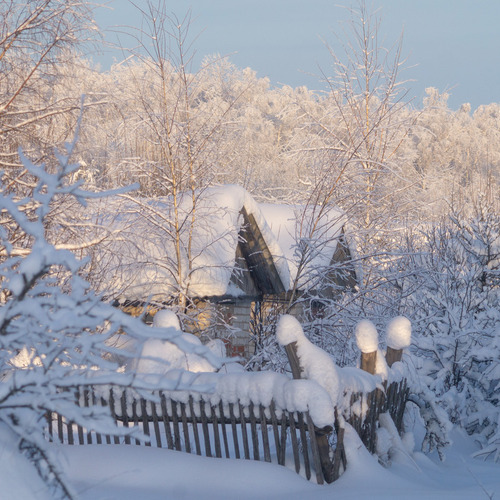 Photo #13864989