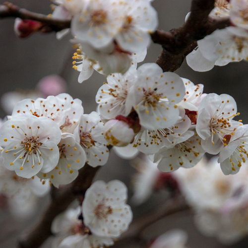 Photo #13865048