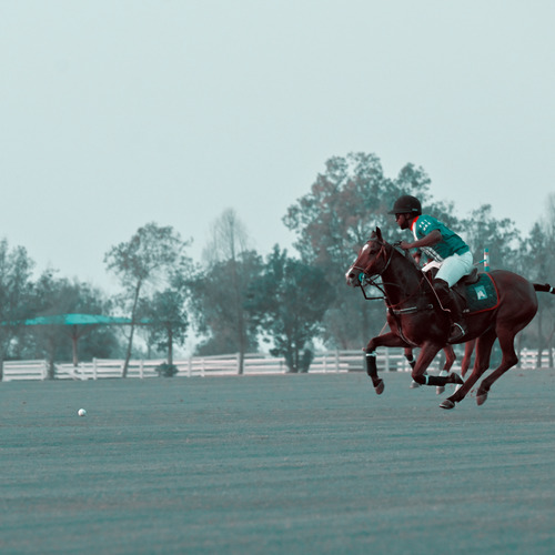 Photo #13865126