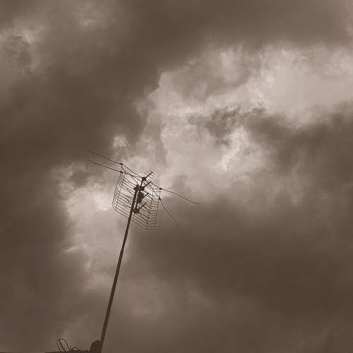 Photo #13865245