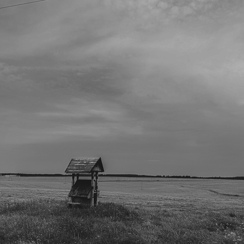Photo #13865246