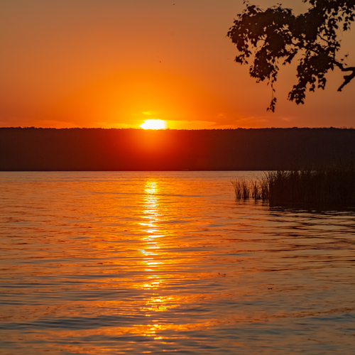 Photo #13865326