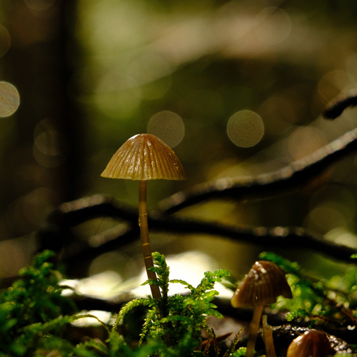 Photo #13865330