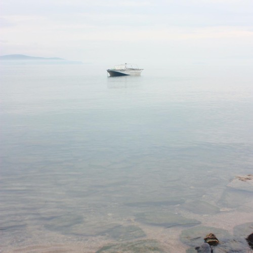 Photo #13865374