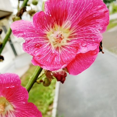 Photo #13865382
