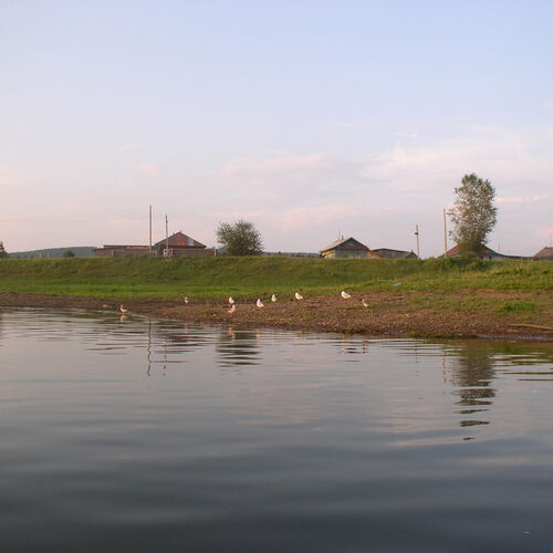 Photo #13865412