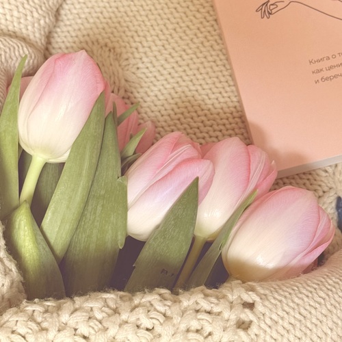 Photo #13865416